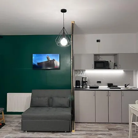 Casa Basarab *